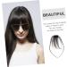 MAGICLULU Bangs Wig Piece Mini Clips for Hair Clip in Air Bangs Real Hair Wigs Fake Hair Bangs Fringe Bangs French Hair Front Hair Fringe France Hair Strands Fully Hand-woven Women's 20x7cm Black - Buy Online on GoSupps.com
