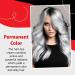 Silver Grey Natural Hair Colour Cream Unisex Hairstyle Temporary Colour DIY Fashion Permanent Light Grey - Buy Online on GoSupps.com