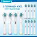 Banavos Replacement Toothbrush Heads Classic Round Brush Heads Replacement Refills Compatible with Braun Oral B Electric Rechargeable Toothbrushes 12 Pack with 4 Hygienic Caps 12 Pieces White - Buy Online on GoSupps.com