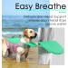 ThinkPet Dog Life Jacket - Adjustable Reflective Buoyancy Vest for Small Dogs | Mint Green & Pink - Buy Online on GoSupps.com