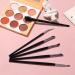 6-Piece Precision Eyeliner Brush Set for Flawless Makeup Application - Buy Online on GoSupps.com