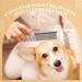 Boao Stainless Steel Pet Comb for Dogs & Cats - Perfect for All Sizes & Hair Types | Durable Rounded Teeth for Gentle Grooming - Buy Online on GoSupps.com