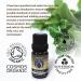 Certified Organic Peppermint Essential Oil 10ml | 100% Pure & Therapeutic Grade for Aromatherapy, Massage, Bath | Natural & Organic with e-Book | Ecodrop - Buy Online on GoSupps.com