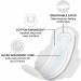 Amazon Basics Maxi Pads with Flexi-Wings | Long Length, Super Absorbency | Unscented, Size 2 (32 Count) | 1 Pack - Buy Online on GoSupps.com