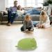 JUNERAIN Super Soft Frog Plush Stuffed Animal 42cm Grass Green - Adorable Hugging Pillow Toy for Kids - Cuddly Frog Decoration - Buy Online on GoSupps.com