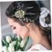 HAPINARY Bridal Headpiece Hair Clips Wedding Hair Accessories Tiara Hair Barrettes Gold Hair Accessories Hair Pin Bridal Hair Accessories for Wedding Bridesmaid Hair Accessories Cloth - Buy Online on GoSupps.com