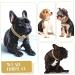 Cuban Connection Dog Collar - 17.7 Cuban Link Chain Alloy Diamond Gold Bling Jewelry for Dogs & Cats - Buy Online on GoSupps.com