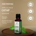 Buy 100% Pure Catnip Oil 15 ML | Natural & Undiluted Nepeta Cataria Essential Oil for Cats - Buy Online on GoSupps.com
