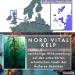Buy NEW! Iodine from Kelp - 400 Vegan Tablets 250 g Iodine from Wild Scottish Brown Algae Made in Germany No Additives - Buy Online on GoSupps.com
