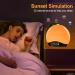 Bluetooth Daylight Alarm Clock with Sunrise Simulation & 22 Natural Sounds | Wake Up Light & Bedside Lamp for Kids - 20 Brightness Levels - Buy Online on GoSupps.com