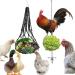 Vokowin Chicken Veggies Skewer Fruit Bag Set Hens Feeder Toy Chicken Food Stick Holder Vegetable String Bag Fruit Holder Stainless Steel Hens Large Birds Treat Skewer (K104-2)