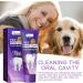 Puppy Toothpaste | Freshens Breath Pet Toothpaste | Safe & Effective Cat Oral Care Toothpaste for Dogs & Pets - Buy Online on GoSupps.com