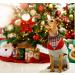 Lionheart Glory Dog Haller Cotton Christmas Scarf | Washable Adjustable Neckerchief for Large Dogs | Checkered Plaid Pet Accessory - Buy Online on GoSupps.com