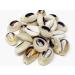 Crispy Collection Sea Shell Hair Beads 2-Pack - Cowrie Dreadlocks Braid Decoration - Buy Online on GoSupps.com