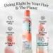 Eva NYC Shapeshifter Flexible Hairspray 8.3 fl oz (8.3 oz) Vanilla 8.3 Ounce (Pack of 1) - Buy Online on GoSupps.com