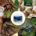 Terra Exotica Water Gel 250ml & 1000ml - Secure Water Supply for Insects Spiders & Scorpions - Buy Online on GoSupps.com