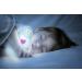 Pabobo Lumilove Barbapapa Night Light - Blue | Induction Charger for Babies & Kids - Shop Internationally - Buy Online on GoSupps.com