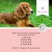 Annimally Flea & Tick Protection Spot On for Dogs (20-30kg) - 3 Months Long-Lasting Efficacy | Effective Tick & Flea Remedy - Buy Online on GoSupps.com