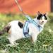 BriFit Cat Dishes with 150cm Leash Break-Safe High-Quality Bowls for Cats & Small Dogs Blue XS - Perfect for Pets 6.61-1lb Shop Now! - Buy Online on GoSupps.com