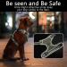 Premium Heele Dog Crockery & Adjustable Harness for Large Dogs - Front & Back Clips Neck Release - Buy Online on GoSupps.com