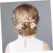 BELLIFFY 1 Set Leaves and Flowers Hair Comb Hair Comb Clip Girl Headpiece Bridal Hair Accessories Hair Accessories for Headpiece for Wedding Decoration Bride Headdress Flower Hair Pin - Buy Online on GoSupps.com