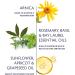 Naturopathica Alpine Arnica Bath & Body Oil | Daily Relief for Joint & Muscle Pain | Soothing Moisturizer for Men & Women | 4.7 fl oz - Shop Internationally - Buy Online on GoSupps.com