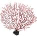 QUETHEDS Faux Coral D cor Artificial Coral Branch D cor Sea Fan Coral Decorations Aquariums Ornament Fish Tanks Landscape Sea Fan Coral Decorations Black Small - Buy Online on GoSupps.com