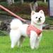 Adjustable Cat Leash Set - Reflective Vest & Dishes for Kittens & Small Dogs (Pink XS) - Durable Polyester - Buy Online on GoSupps.com