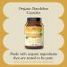 Organic Dandelion Root Powder Extract Capsules - 530mg (100 Pills) Herbal Supplement - Buy Online on GoSupps.com