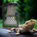 PSPSOP Reptile Heat Lamp Protection Basket - EU 220V Prevent Burns for Terrariums - Buy Online on GoSupps.com