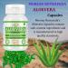 Morsan Nutraveda Aloe Vera Capsules | 100% Pure & Natural Herbal Supplement | Supports Skin Health Digestion & Immunity | Ayurvedic Wellness(Pack of 1) - Buy Online on GoSupps.com
