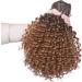 Short Afro Curly Ponytail Hair Extensions Piece for African American Black Women Ponytail Extension Afro Drawstring Curly Ponytail for Women Black mix Coffee Brown - Buy Online on GoSupps.com