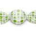 USDA Organic Sweet Ginger Pear Tummydrops - 33 Individually Wrapped Drops - Buy Online on GoSupps.com