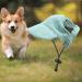 Buy Predolo Pet Sports Hat - Fashionable Dog Sun Protection Cap with Ear Holes - Green XL Baseball Cap for Small Dogs - Buy Online on GoSupps.com