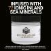 Buy Beard Butter for Men - Shea Butter Jojoba Oil Sea Minerals | Moisture Softness Control & Sundance-Citrus Scent - 2 oz - Buy Online on GoSupps.com