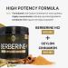 Berberine 1200mg HCL + Ceylon Cinnamon Capsules | Metabolic & Immune Support | AMPK Activator Complex | Cardiovascular Support | 1200mg Berberine HCL Supplement - Buy Online on GoSupps.com