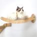 HeyKitten 17 Cat Wall Hammock for 2x4 Stud Mount - Stylish Floating Kitten Shelf for Large Cats - DIY Suspension Kitty Perch in Walnut - Buy Online on GoSupps.com