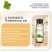 EUQEE Patchouli Essential Oil 10ml - Pure Natural Aromatherapy Oil for Home Relaxation - Ideal for Diffusers and Humidifiers - 10.00 ml (Pack of 1) - Buy Online on GoSupps.com