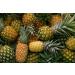 Organic Dried Pineapple Rings  1 Pound - Non-GMO  Flavorful Chewy Fruit Snack  Vegan  Unsulfured  No Sugar Added  Bulk  Great Addition to Desserts  Cakes  and Pies  No Sulphites  Unsweetened 1 LB - Buy Online on GoSupps.com