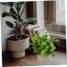 Zerodeko 6 Pcs Simulated Potted Plant Faux Greenery Fake Plant Decor Green Decor Mini Plants Mini Succulent Plants Upholstery Trim Simulation Green Plant Plastic Eucalyptus Green Plants As Shownx6pcs 22x8cmx6pcs - Buy Online on GoSupps.com