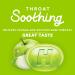 HALLS Throat Soothing Green Apple Cough Drops Economy Pack 80 Drops (Pack of 2) - Buy Online on GoSupps.com