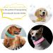 Elegel Leather Dog Collar - Wide Stylish & Safe for All Sizes - Rhinestone Anti-Lost Multiple Colors - Buy Online on GoSupps.com