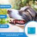 Dog Wipes Cleaning Teeth - Dental Care Finger Wipes - 50 CT Cat Dog Teeth Cleaning Wipes - Plaque and Tartar Remover Dog Oral Care Freshen Bad Breath - Buy Online on GoSupps.com