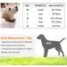 PETTOM Adjustable Nylon Dog Collar - Breathable Reflective XL Pink Collar for Dogs - Buy Online on GoSupps.com