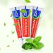 10 Tubes Bulk Travel Size Toothpaste - Mini 0.88oz Peppermint for Hotels Guests & Charity - Buy Online on GoSupps.com