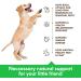 Natural Flea and Tick Prevention Chewables for Dogs - Made in USA - 180 Soft Tablets - Buy Online on GoSupps.com