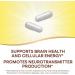 Natures Way Choline & Inositol 1000mg - Brain Health & Cellular Energy - 100 Capsules - Buy Online on GoSupps.com