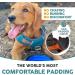 Embark Pets Adventure Dog Harness Medium - No Pull, Anti-Pull, Adjustable, Orange - Chest 60-77 cm - Buy Online on GoSupps.com