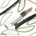 Belweder Protective Lip Balm with Aloe Vera & Vitamin E - Moisturizing & Regenerating - Unisex 3.5g Stick - International Shipping - Buy Online on GoSupps.com