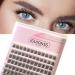Fluffy Eyelashes Set DIY Lashes Extensions 120 Volume Single Clusters Thick Senmented Eyelash with Glue Tweezers Natural Fine Black Stalks Eyelash Kit (IG03-C 10-16mm MIX-Glue-Tweezer) 10-16mm MIX-Glue-Tweezer IG03-C - Buy Online on GoSupps.com